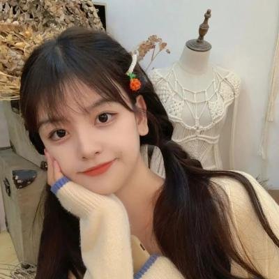 木府风云